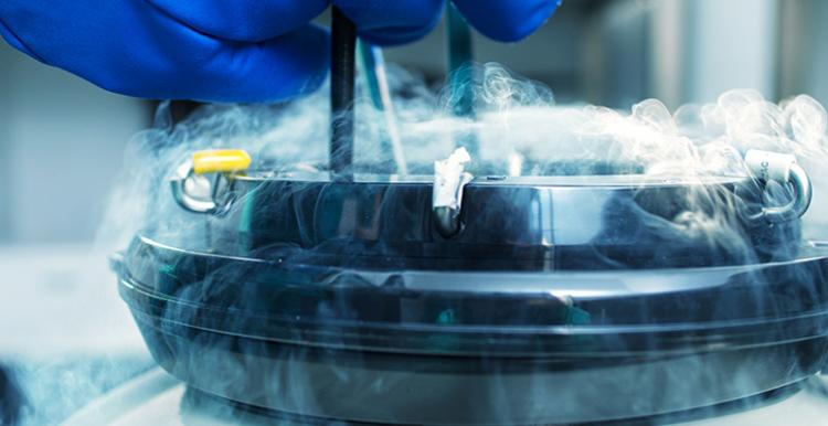 Gamete and Embryo Cryopreservation