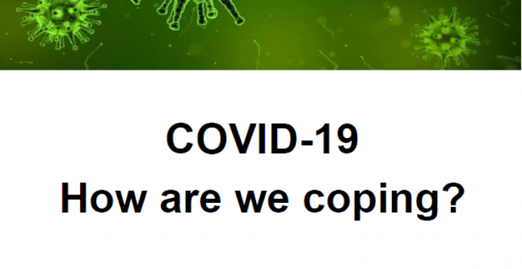 cover of report covid